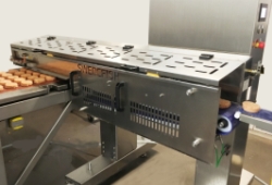 Products trough shuttle conveyor